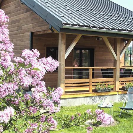 L Etincelle Du Manon Lajoux Exterior foto
